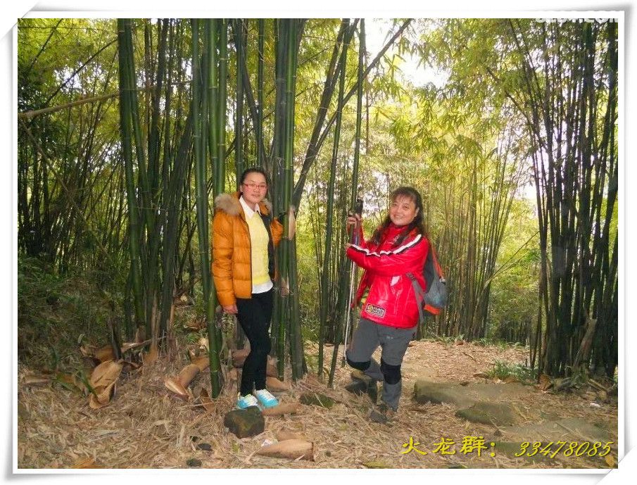 [火龙.快乐山行]北碚歇马-绝望坡-缙云山后山[作