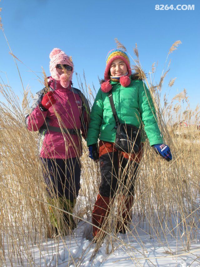 扎龙天鹅湖 冬季捕鱼节 鲤鱼跳龙门 驴欢鱼飞跃