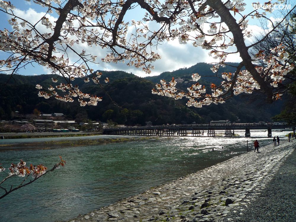 3月24-29日走出国门之日本赏樱花 东京-大阪-京