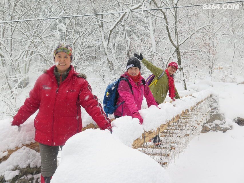 燕子户外有神的保护绿石谷看到了奇异景色 - 第