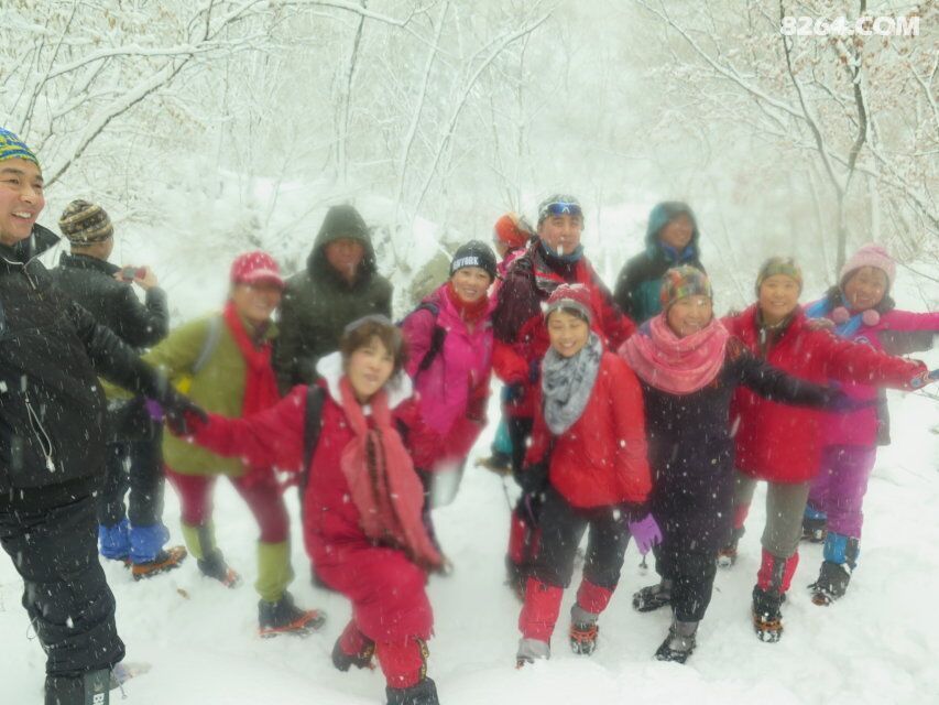 燕子户外有神的保护绿石谷看到了奇异景色 - 第