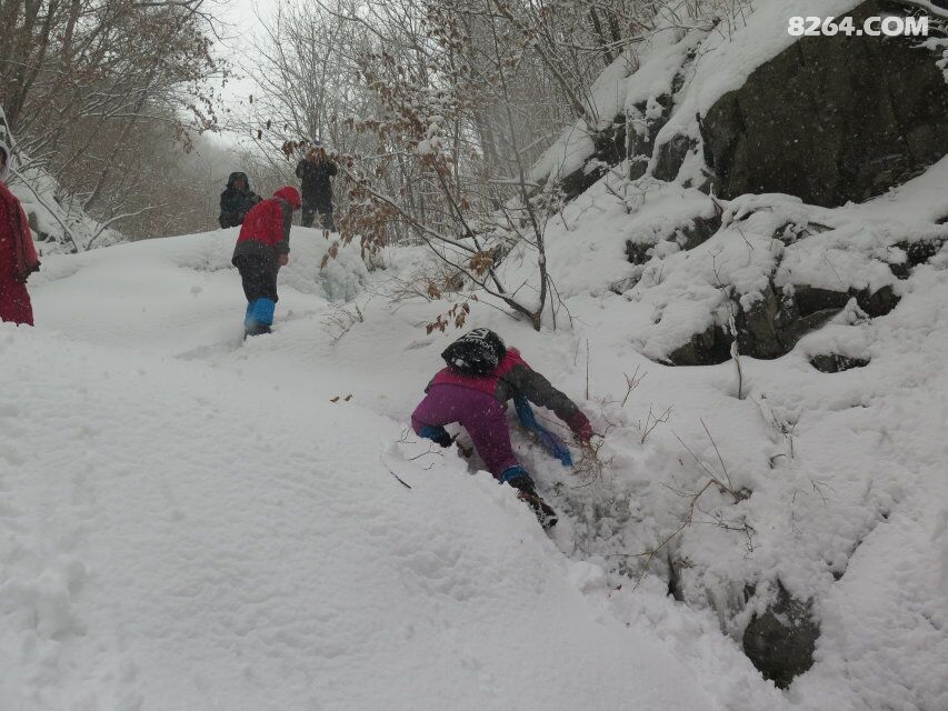 燕子户外有神的保护绿石谷看到了奇异景色 - 第