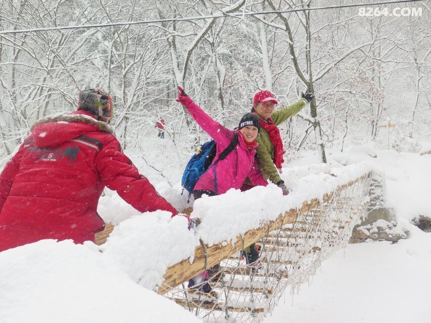 燕子户外有神的保护绿石谷看到了奇异景色 - 第