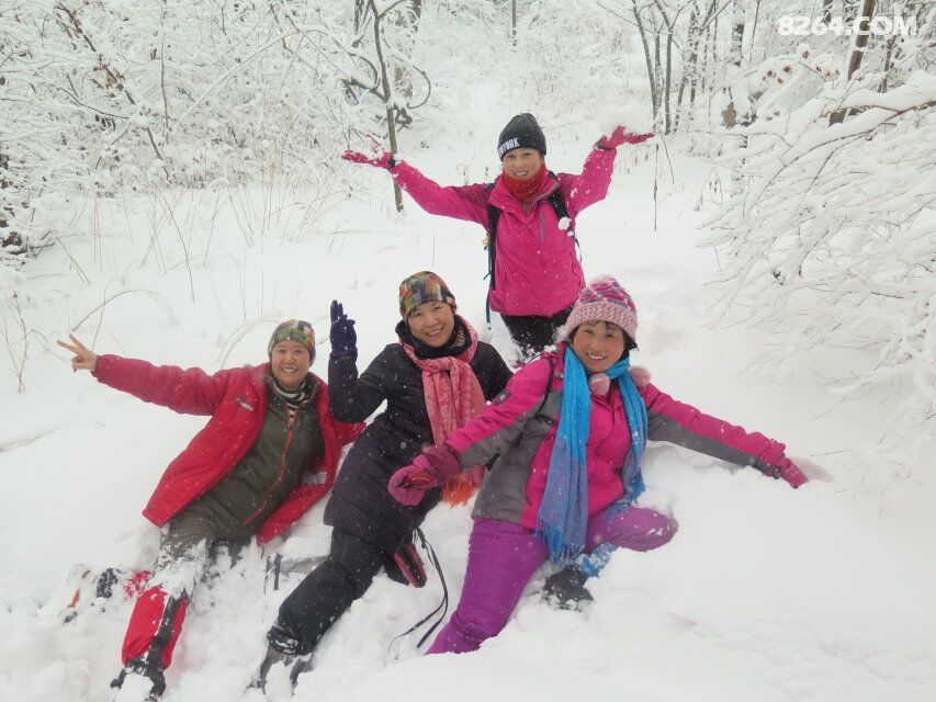 燕子户外有神的保护绿石谷看到了奇异景色 - 第