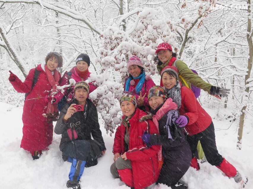 燕子户外有神的保护绿石谷看到了奇异景色 - 第