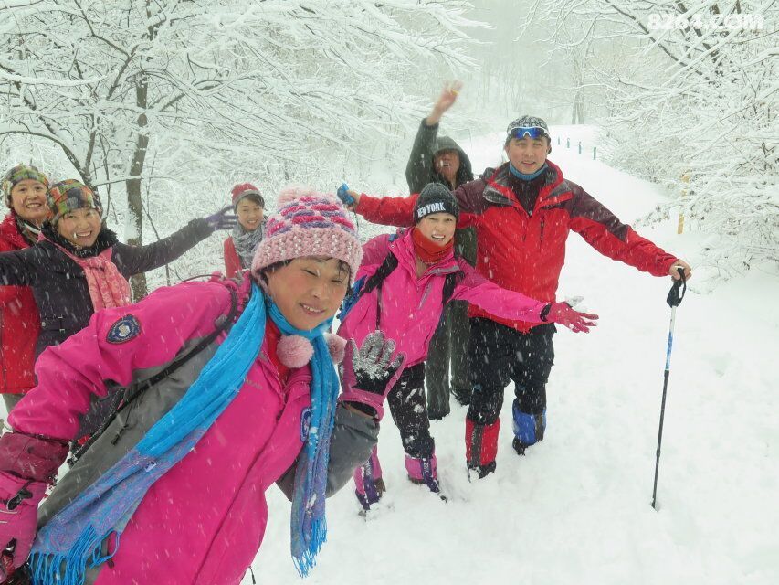 燕子户外有神的保护绿石谷看到了奇异景色 - 第