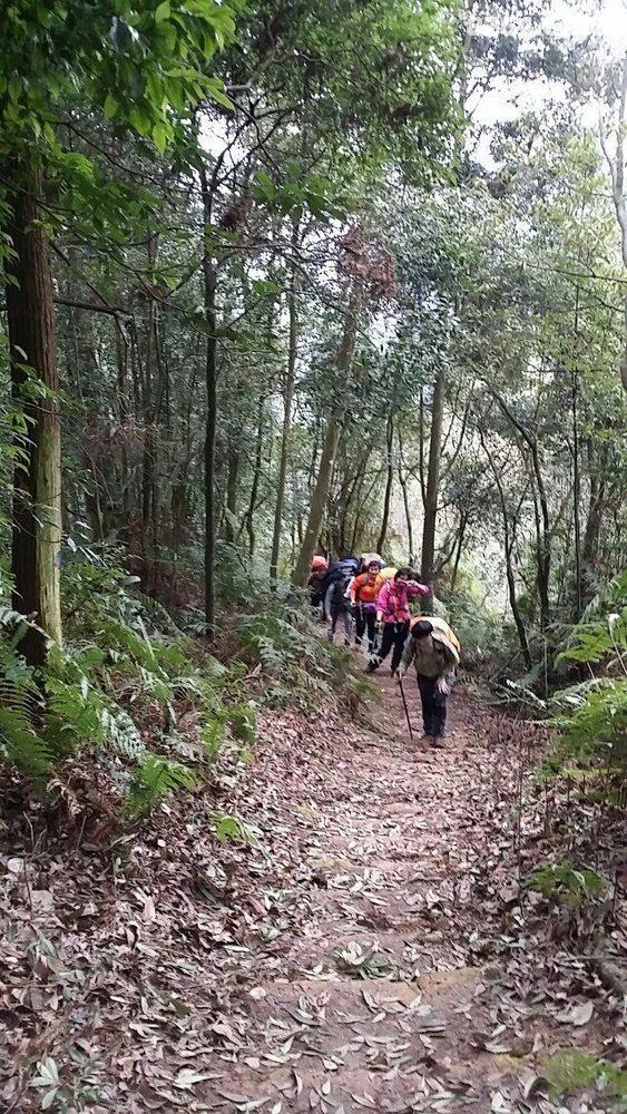 陌上柔桑破嫩芽,正是穿越好时节,春节初四-初六
