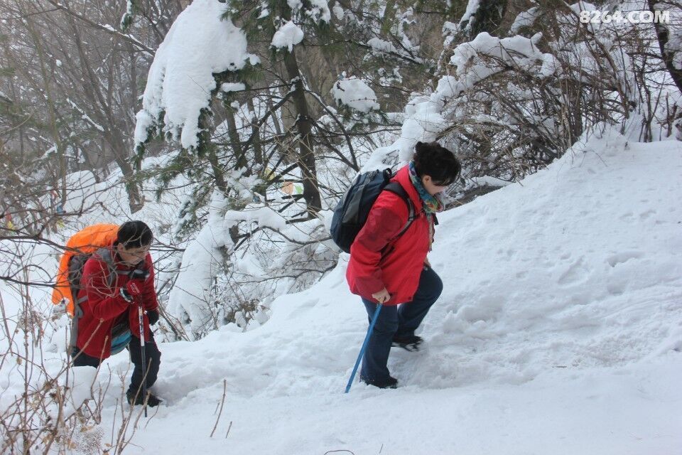 西安鹰之队户外新年新起点三月七号登高人头