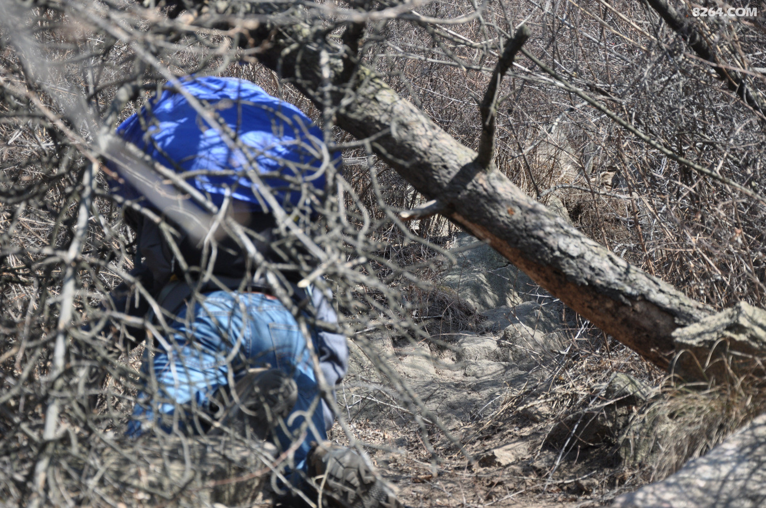 泰山约伴 - 户外资料网
