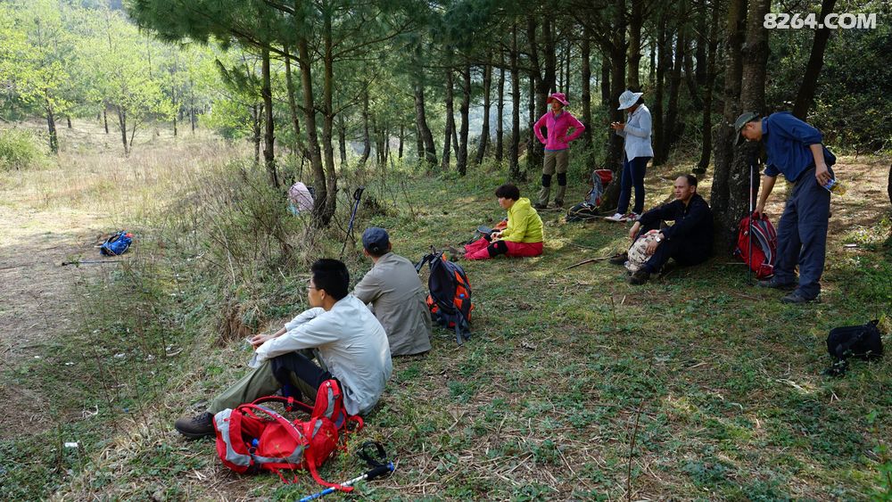 马缨花伴谷堆山