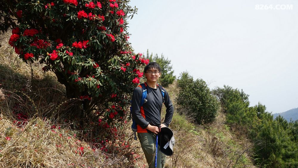 马缨花伴谷堆山 - 云南 - 8264手机触屏版
