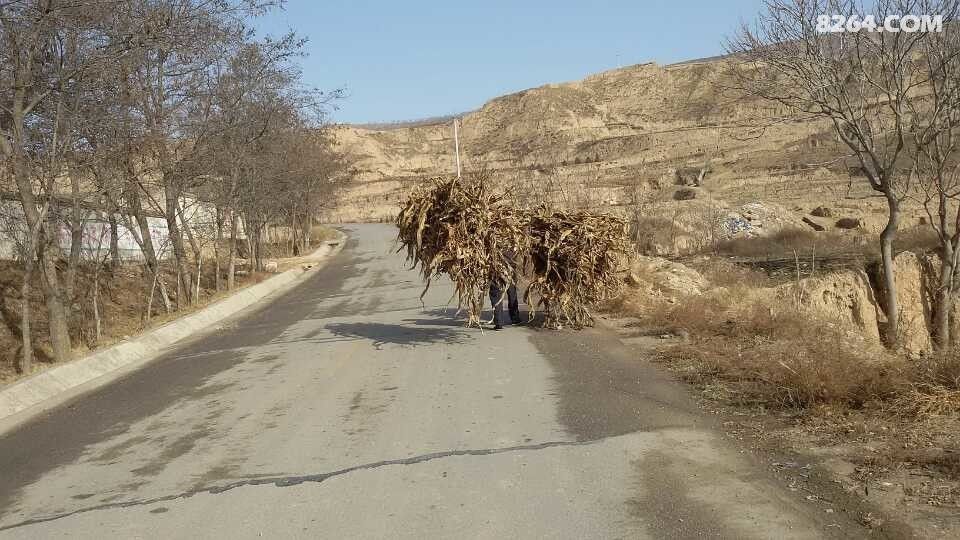 羊年春节民俗活动之七骑行拜访亲人亲戚---感悟
