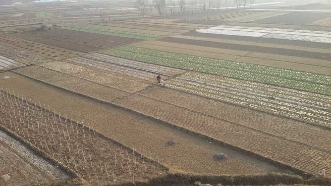 羊年春节民俗活动之七骑行拜访亲人亲戚---感悟