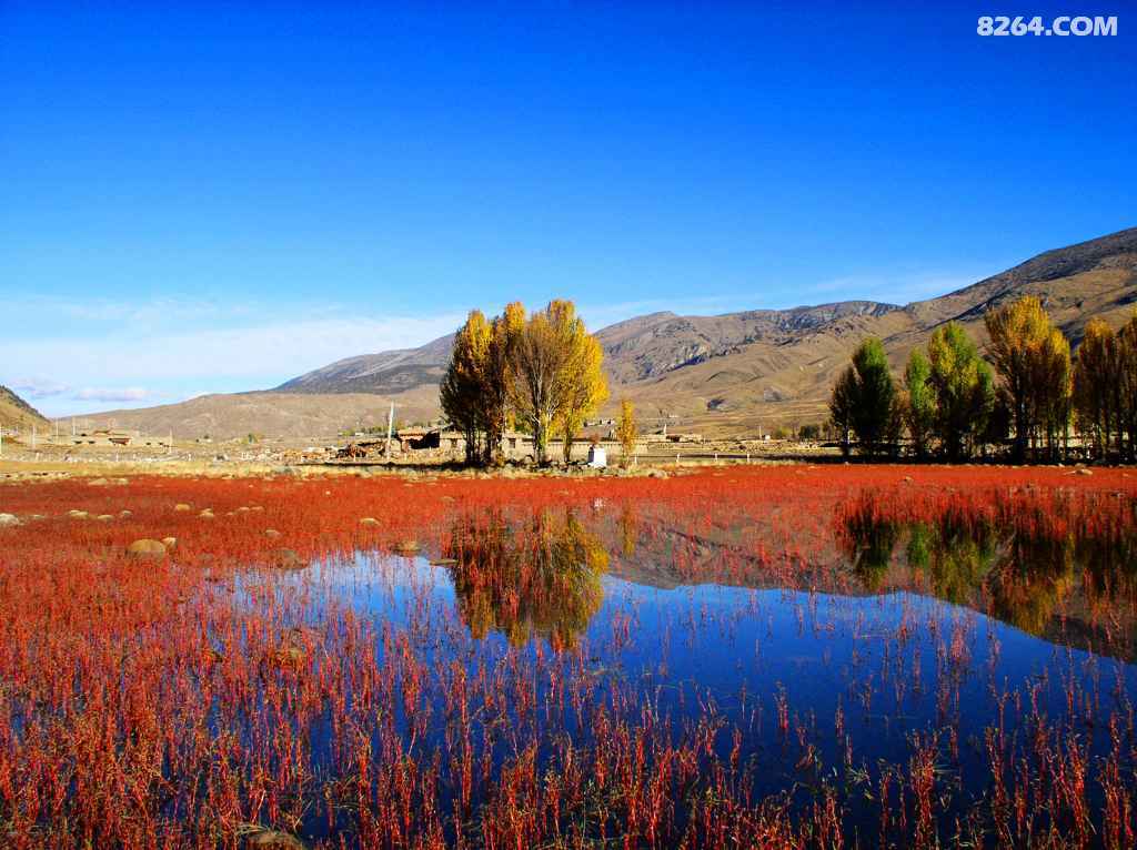 2015 探访梦中的香格里拉稻城亚丁塔公丹巴摄