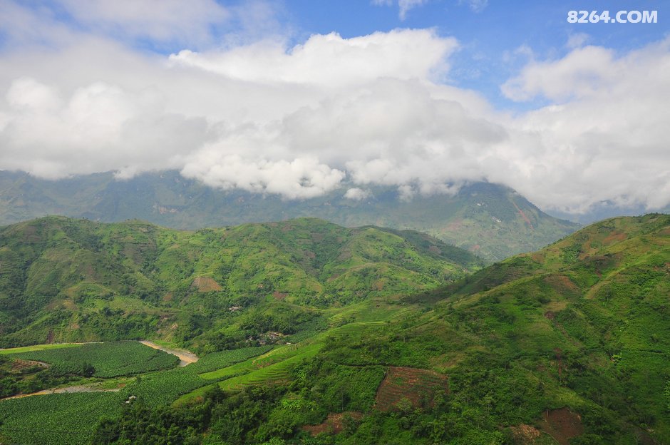 云南金平县总人口是多少_云南金平县地图(2)