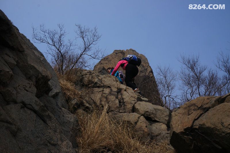 杏林--摩诃峰换国旗 - 第24页 - 山东 - 户外资料