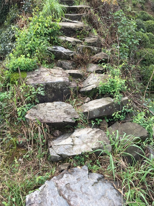 江浙沪打工人周末自救指南|8条小众徒步路线(图1)