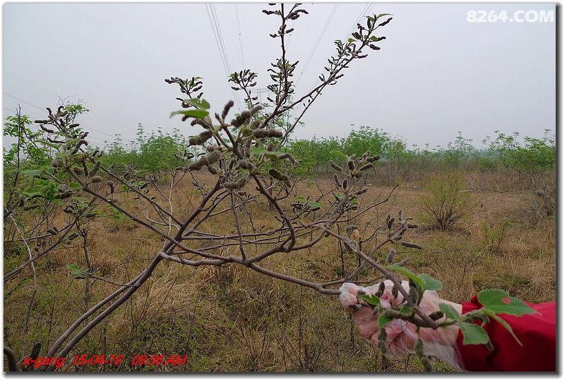 4月18日,云台山百家岩停车场-一线天-重阳阁-万