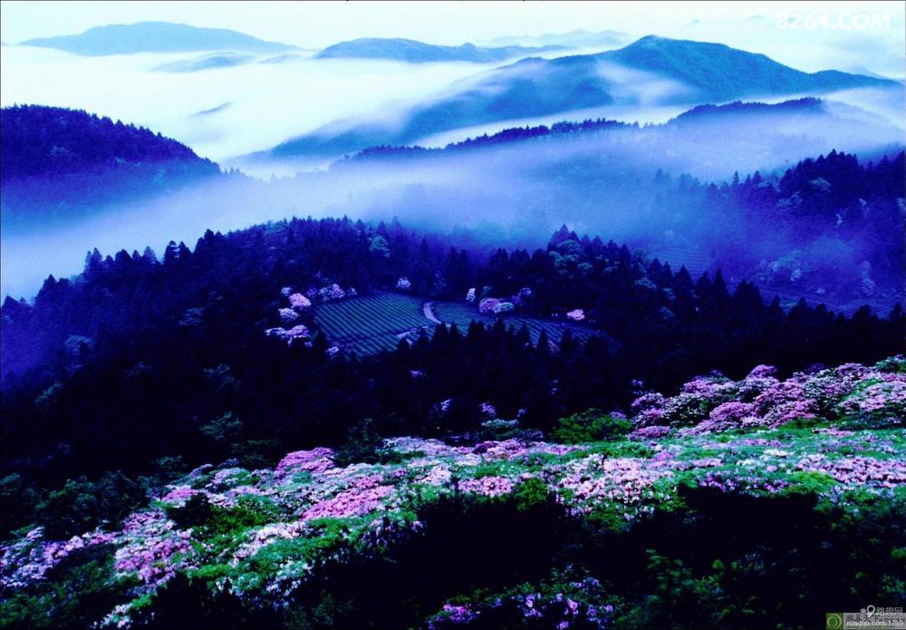 天台山,梦开始的地方(五一浙江天台山三日游) 