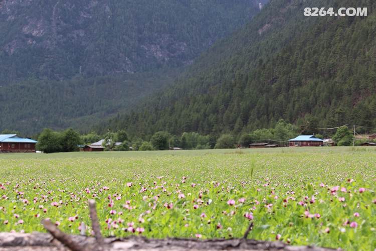 88天重装纯徒川藏南线---10月底沙漠徒步穿越