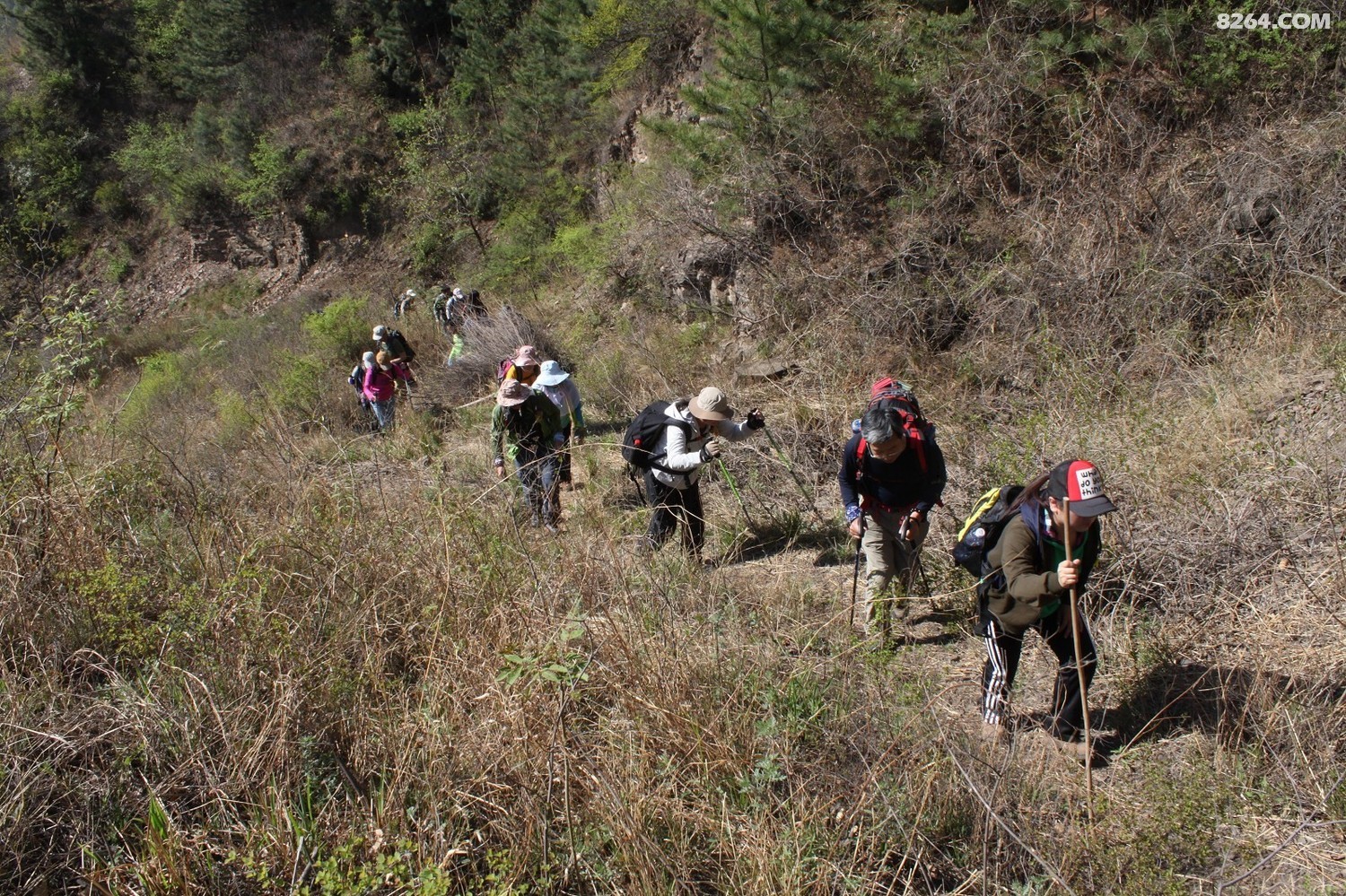 生命真的有厚度,这个厚度可以用驴行来拓展---