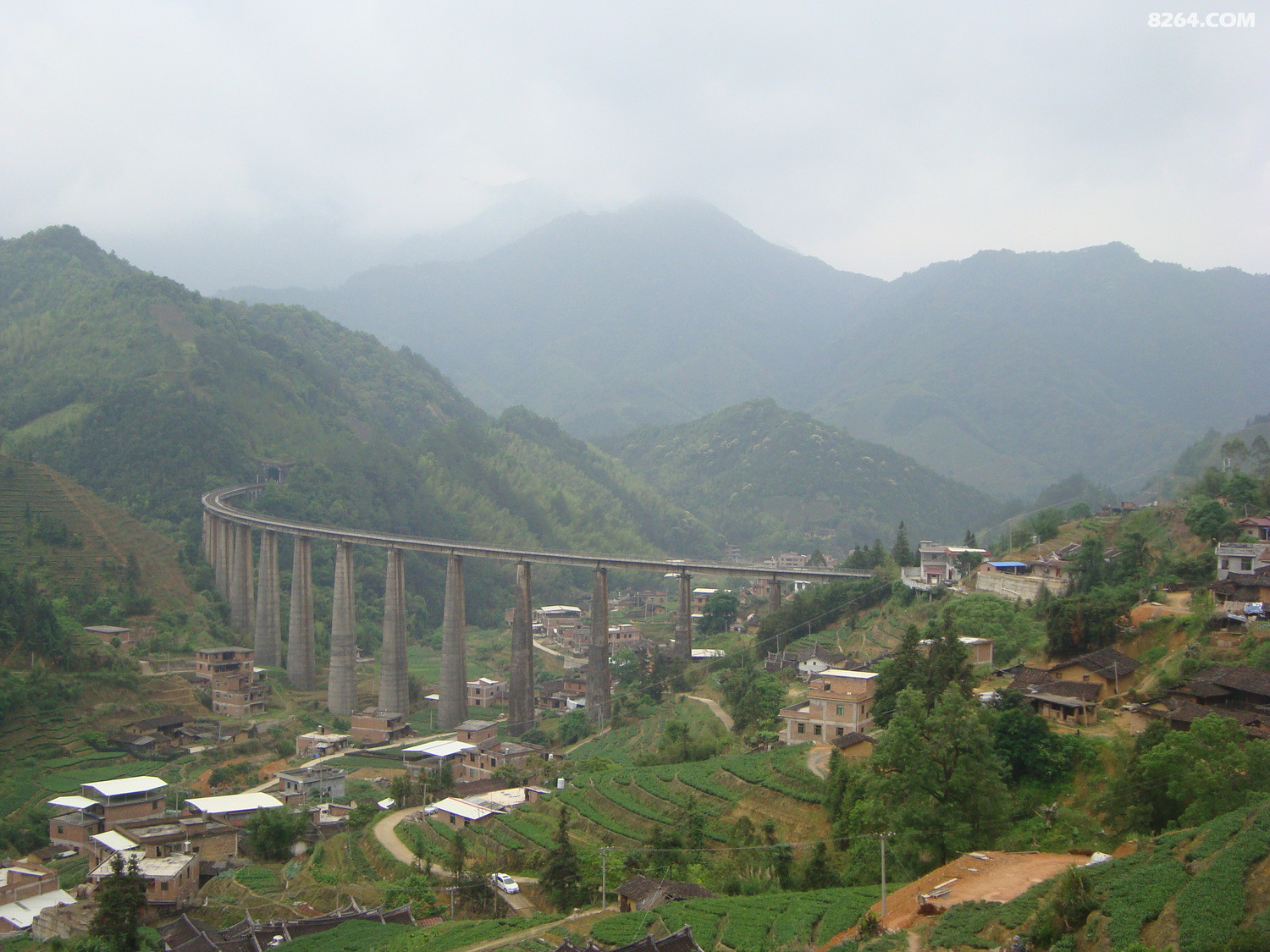 圆梦云中山,惊现妖花和<em>长黑头发</em>白头发的枯木