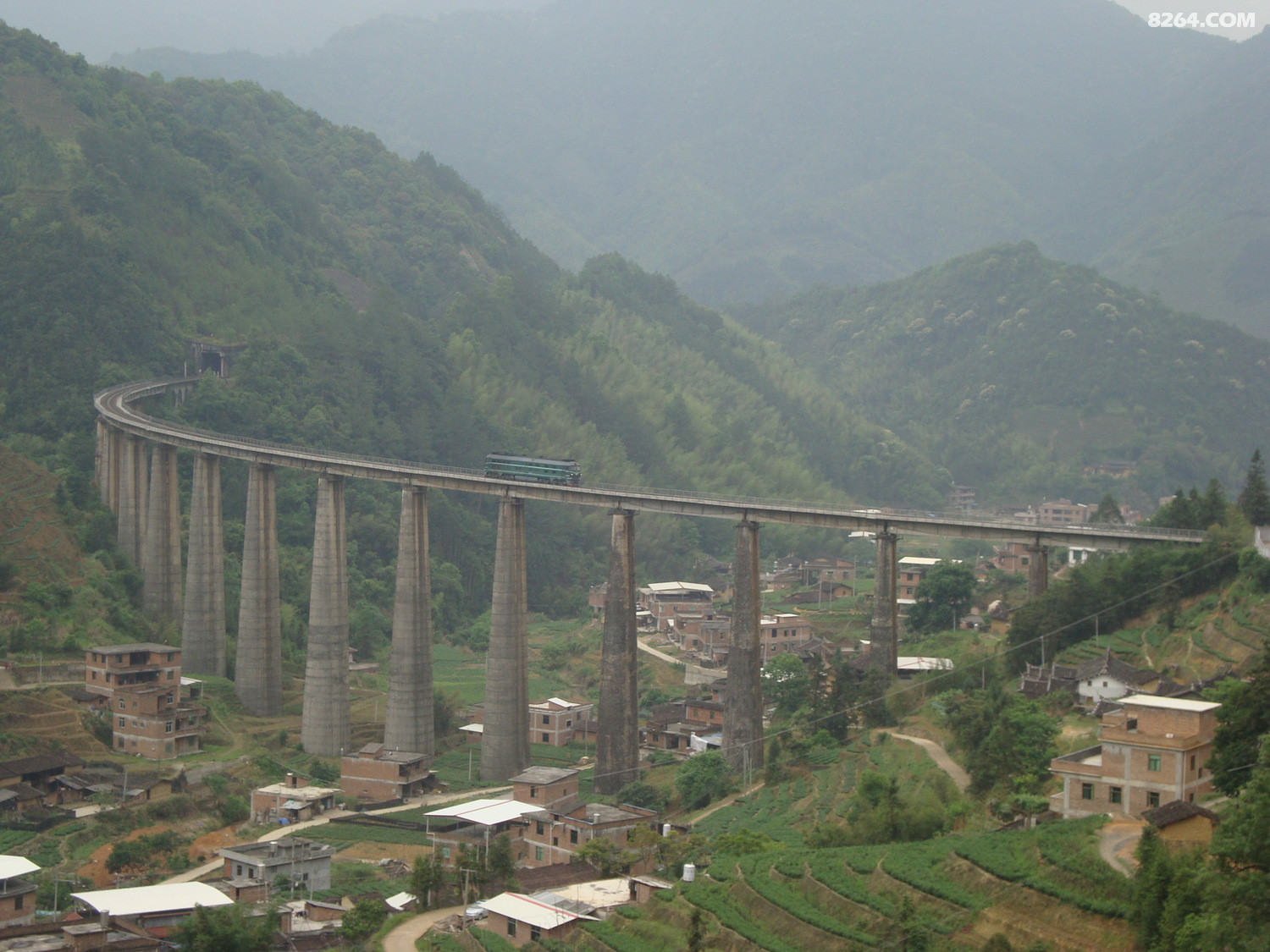 圆梦云中山,惊现妖花和<em>长黑头发</em>白头发的枯木