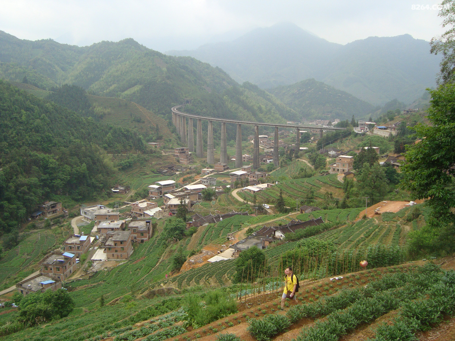 圆梦云中山,惊现妖花和<em>长黑头发</em>白头发的枯木