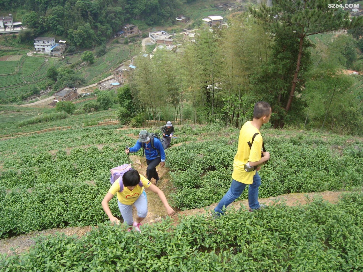 圆梦云中山,惊现妖花和<em>长黑头发</em>白头发的枯木