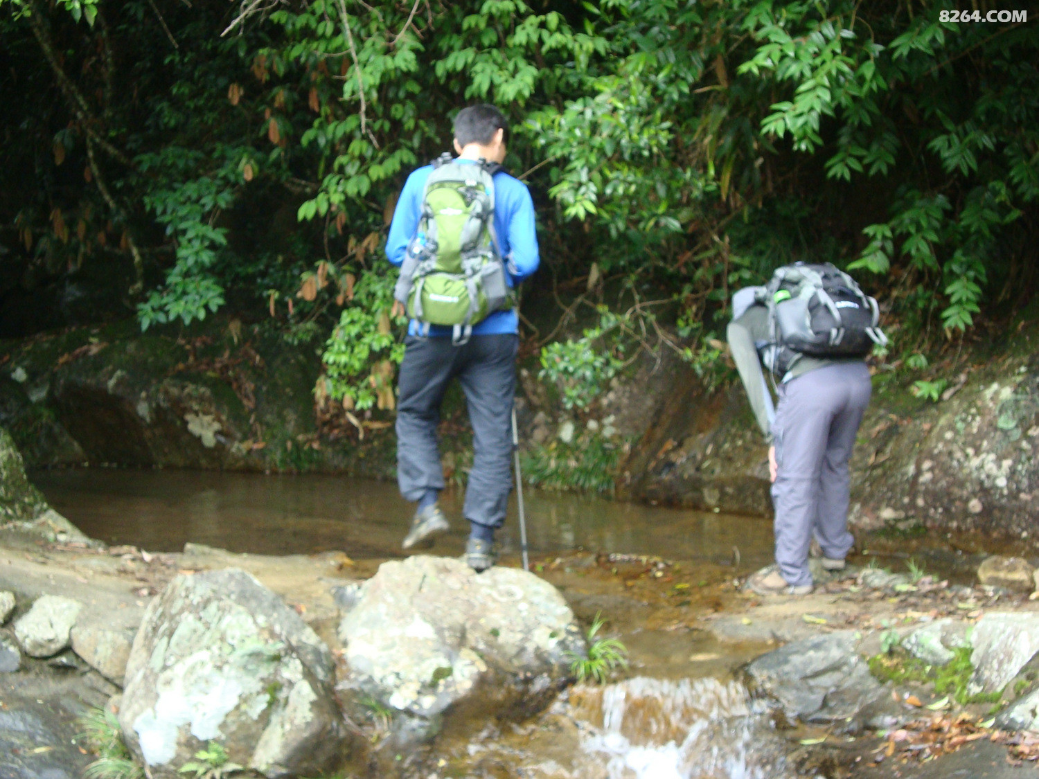 圆梦云中山,惊现妖花和<em>长黑头发</em>白头发的枯木