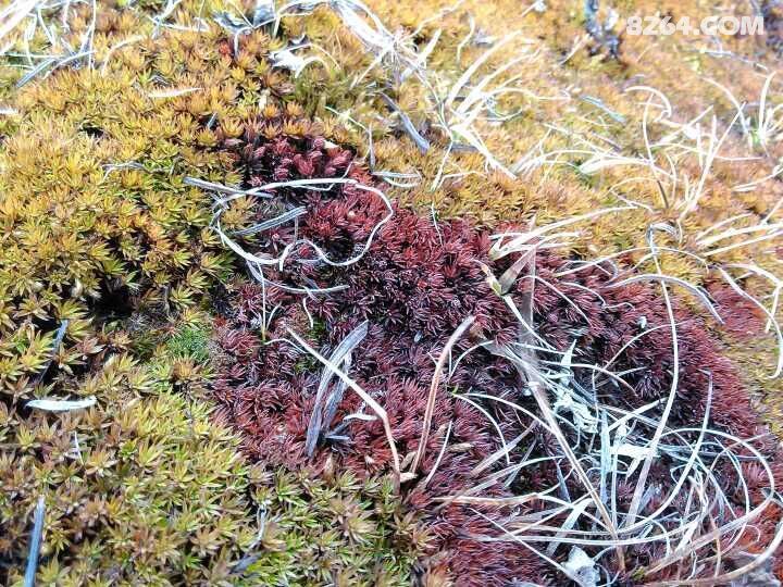 2015.5.9大通南雀山随行记