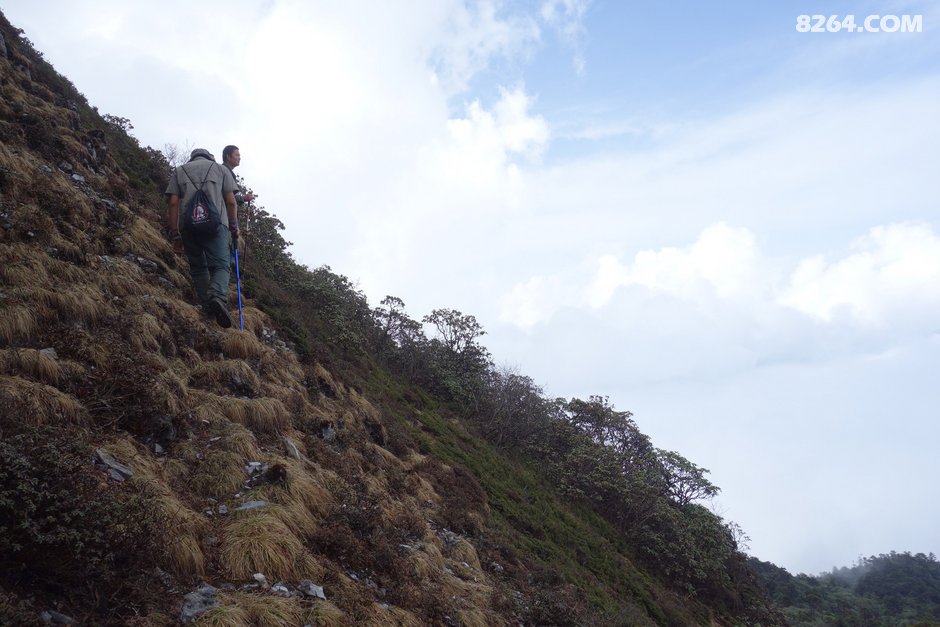 0851432b9v3er0nj2rqbce.jpg!t3w825h0