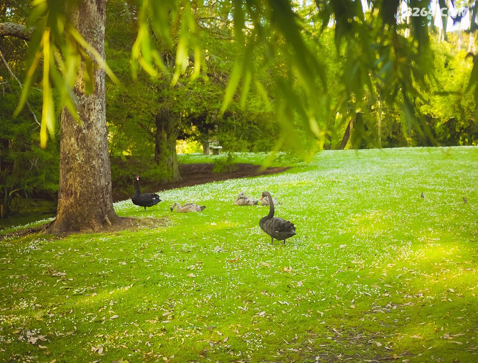 模样,醉美的天堂-我的深度游(自驾,滑雪,蹦极,高