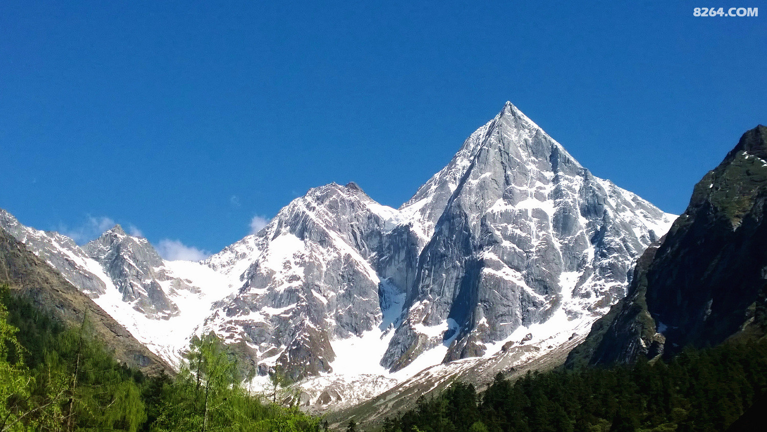 毕棚沟寻车厘子(图片游记财务) - 第1页 - 重庆