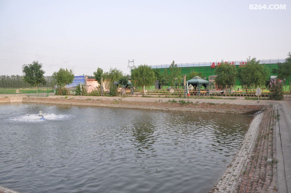 周未休闲,走进任丘惠富山林绿色农业种植合作