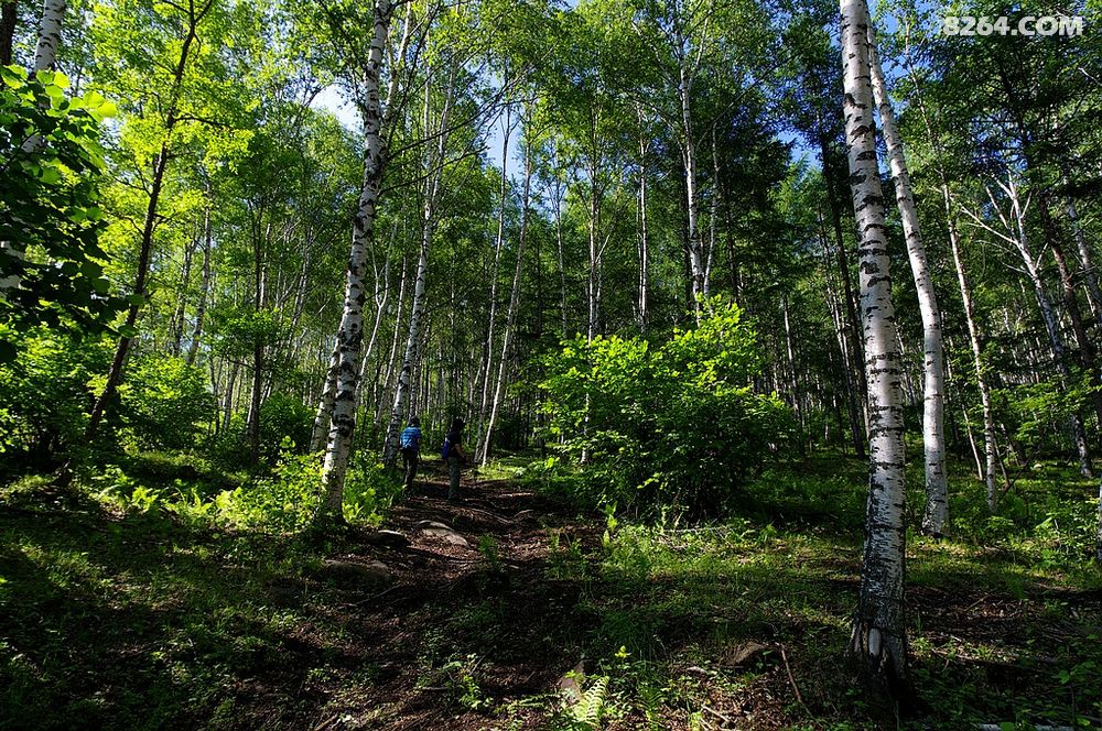 承德绝岭户外小分队登茅荆坝南梁台 - 户外摄影 - 8264手机触屏版