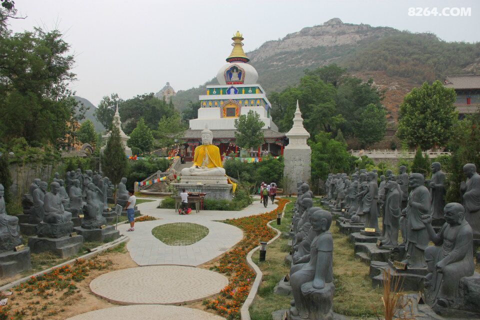 2015.6.28阳泉大红鹰户外俱乐部鹿泉熏衣草庄