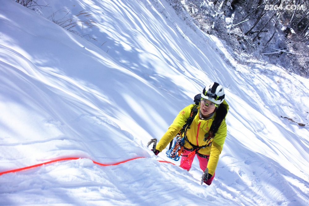8264铿锵玫瑰 一百四十九期 我是 小米 - 第1页