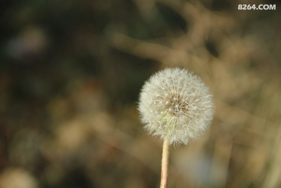 心系远方,骑行东南亚四国(越南 柬埔寨 泰国 老