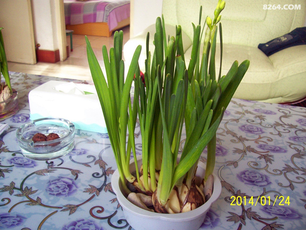 鲜花朵朵献给六盘山铁骑队员们 - 户外资料网