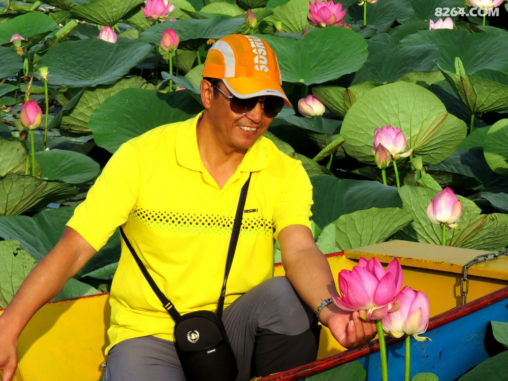 塞外边疆赏北荷