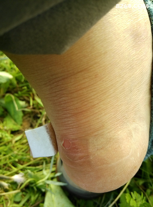 多年钟爱一款鞋,关于兔子的四双宽版Asolo Fugitive Boot的杂七杂八(写完) 多年钟爱一款鞋,关于兔子的四双宽版Asolo Fugitive Boot的杂七杂八(写完)