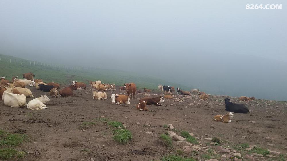 最专业的户外俱乐部,AA出行,拒绝盈利 - 第1页