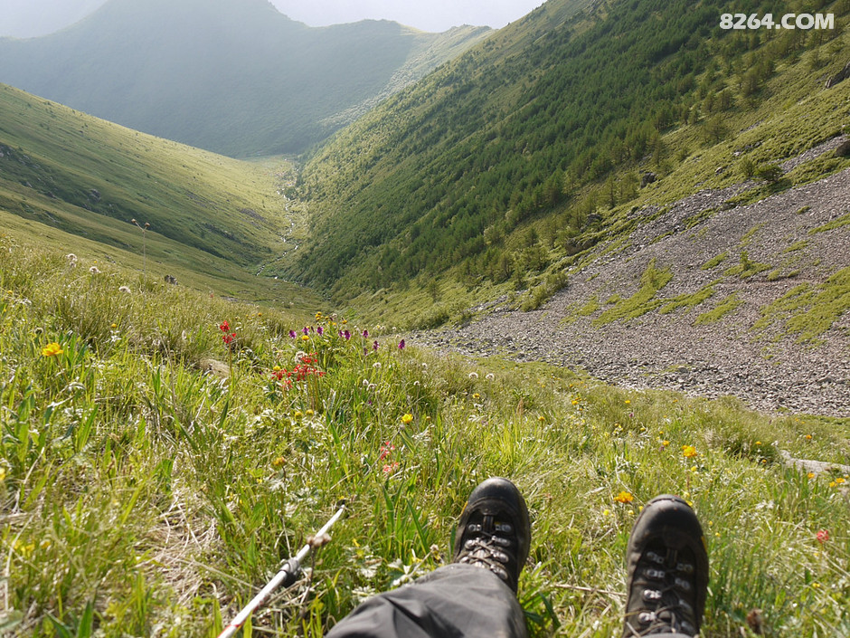 多年钟爱一款鞋,关于兔子的四双宽版Asolo Fugitive Boot的杂七杂八(写完) 多年钟爱一款鞋,关于兔子的四双宽版Asolo Fugitive Boot的杂七杂八(写完)