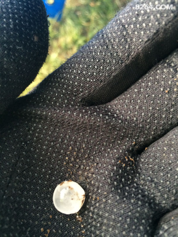 多年钟爱一款鞋,关于兔子的四双宽版Asolo Fugitive Boot的杂七杂八(写完) 多年钟爱一款鞋,关于兔子的四双宽版Asolo Fugitive Boot的杂七杂八(写完)