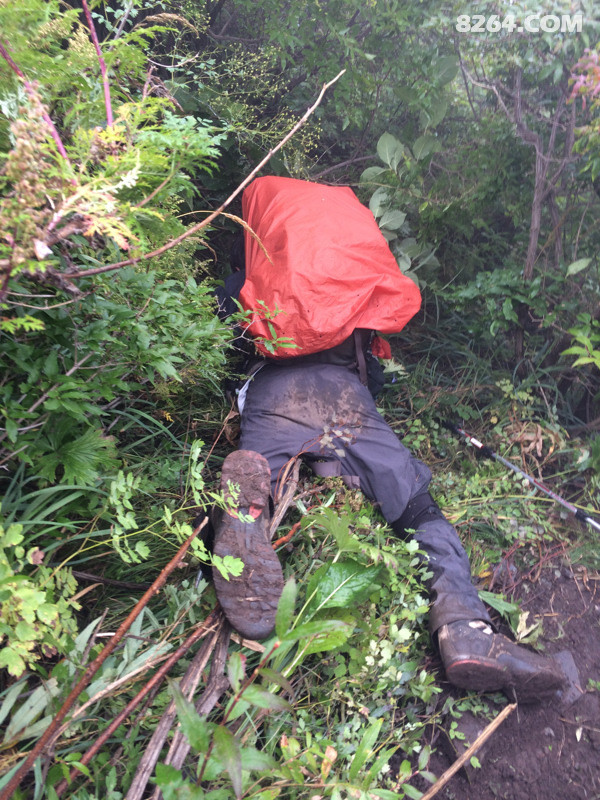 多年钟爱一款鞋,关于兔子的四双宽版Asolo Fugitive Boot的杂七杂八(写完) 多年钟爱一款鞋,关于兔子的四双宽版Asolo Fugitive Boot的杂七杂八(写完)