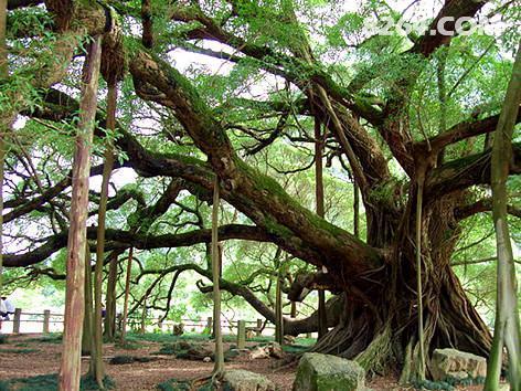 到桂林小资一把 - 第1页 - 游记攻略 - 户外资料网