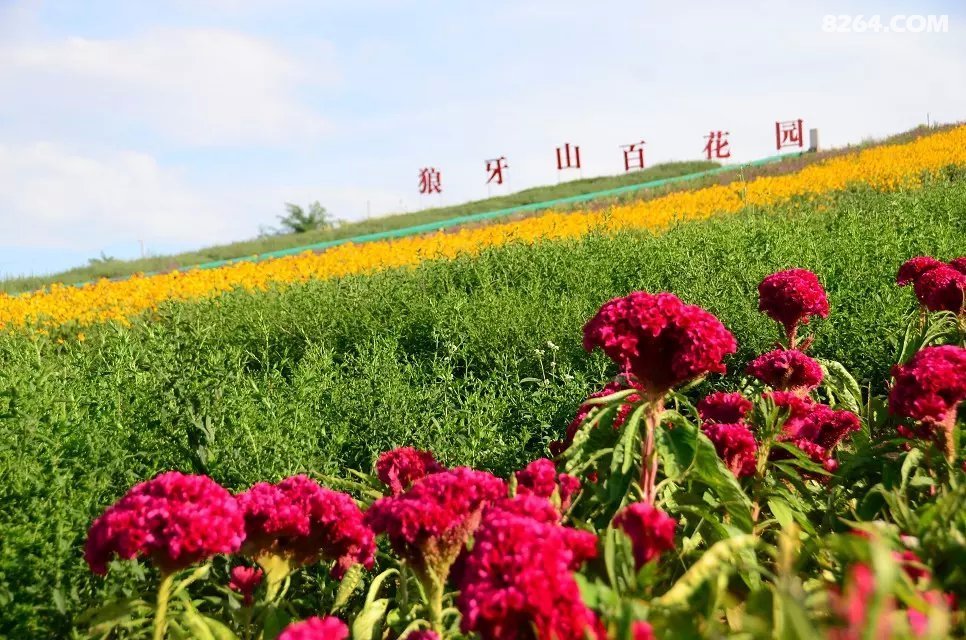 易县第二百花园怎么走