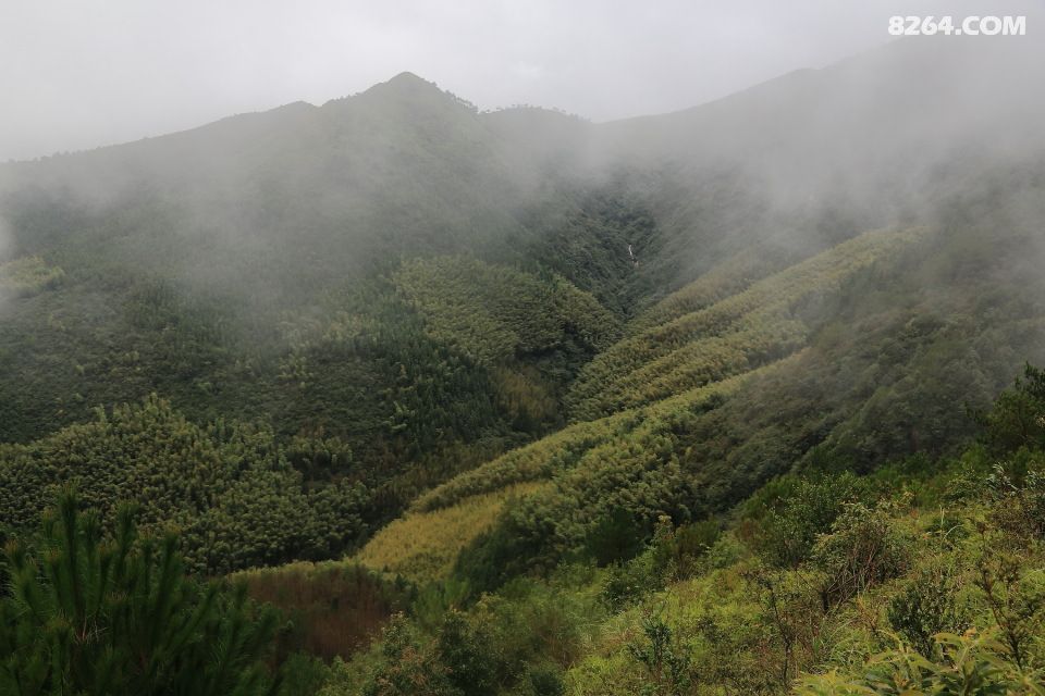 风雨无阻徒步宁德第一旗山 - 8264户外学校 - 8