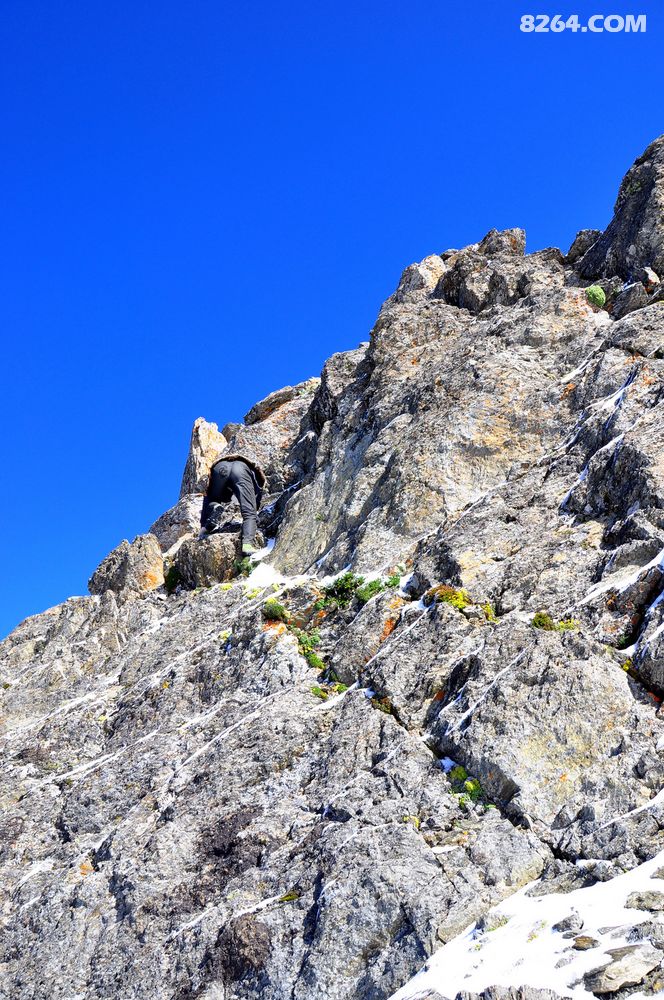 龙门山脉最高峰狮子王的壮丽风采及作业贴 - 第